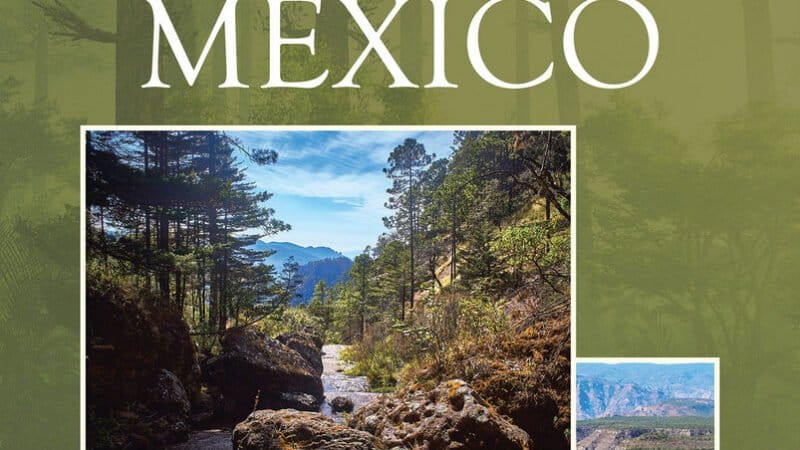 La más reciente obra publicada del autor Raúl Barraza B., Historias de un pueblo mágico y orífico de México