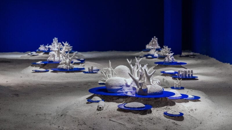 Faena Art anuncia la apertura de la exhibición Beatriz Chachamovits