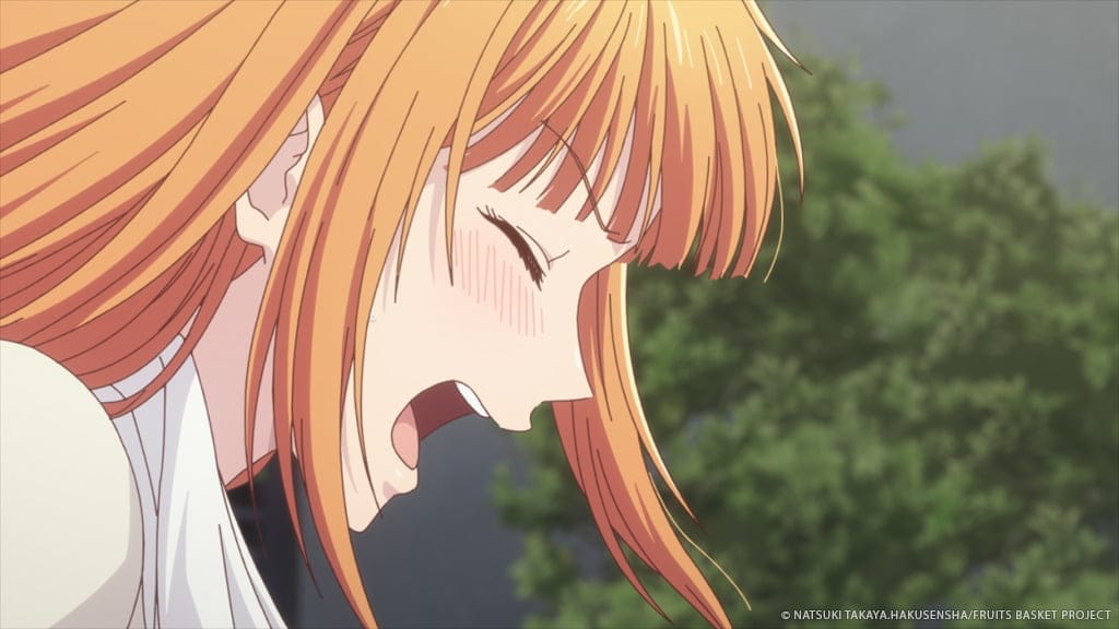 Fruits Basket