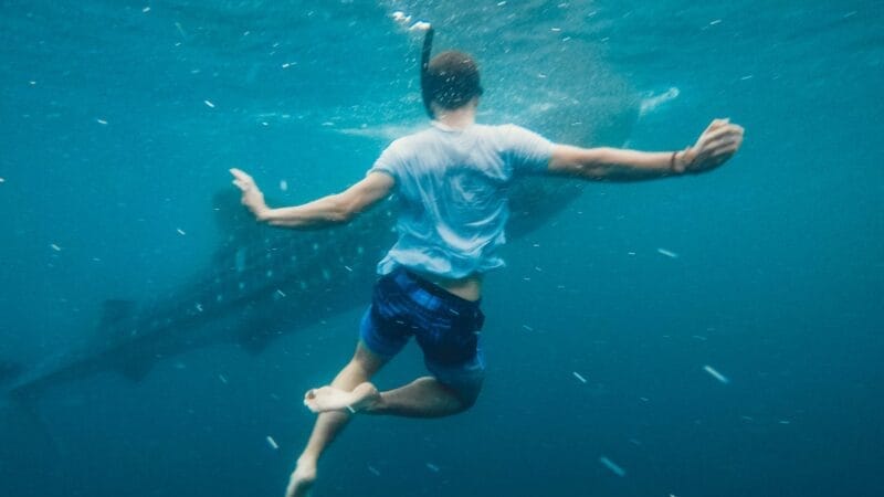 Tiburón ataca a un hombre a pocos metros de la orilla en una playa de Florida