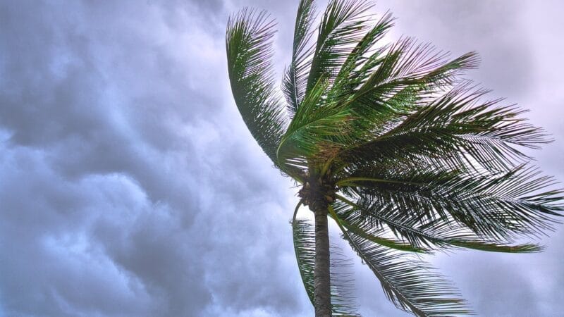 3 consejos de los expertos para protegerte de una tormenta