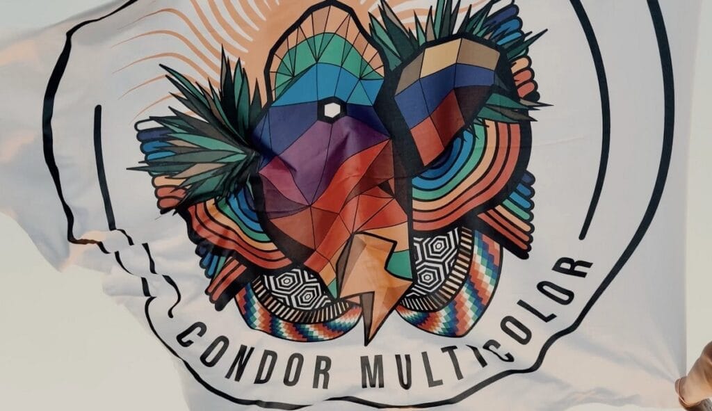 Cóndor Multicolor