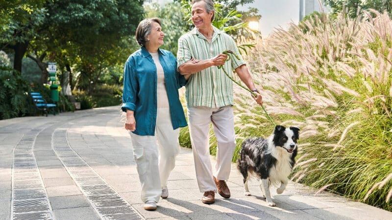 Cuenta regresiva para inscribirte a Medicare 2025