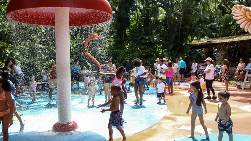 Jungle Splash: la nueva sensación acuática para familias en Miami este verano