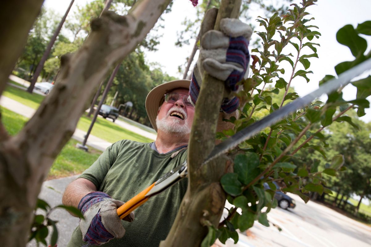 ¿Está preparado su jardín para una tormenta severa? Expertos de ...
