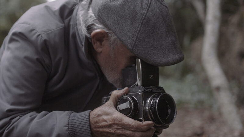 Cortometrajes en MIA destacan el programa Artist-in-Residence del Deering Estate