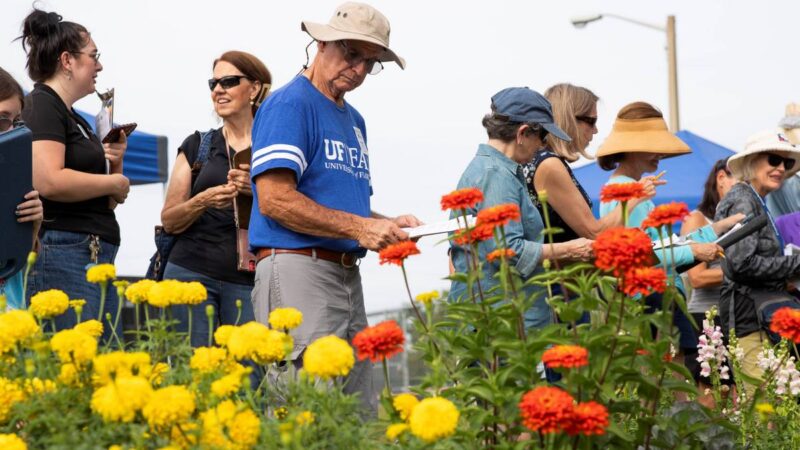 UF/IFAS crea una iniciativa para conocer la opinión pública sobre las necesidades de residentes de Florida
